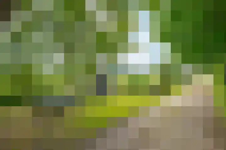 Zuiderdiep 8 Drouwenermond thumbnail 85
