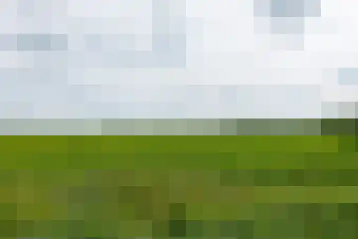 Zuiderdiep 8 Drouwenermond thumbnail 86