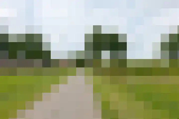 Zuiderdiep 8 Drouwenermond thumbnail 87
