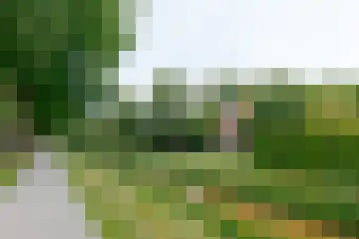 Zuiderdiep 8 Drouwenermond thumbnail 88
