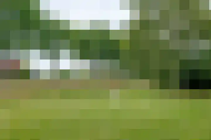 Zuiderdiep 8 Drouwenermond thumbnail 89