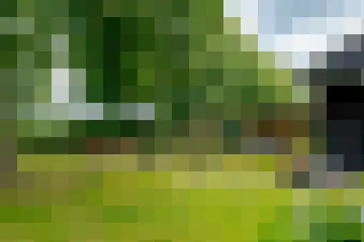 Zuiderdiep 8 Drouwenermond thumbnail 9