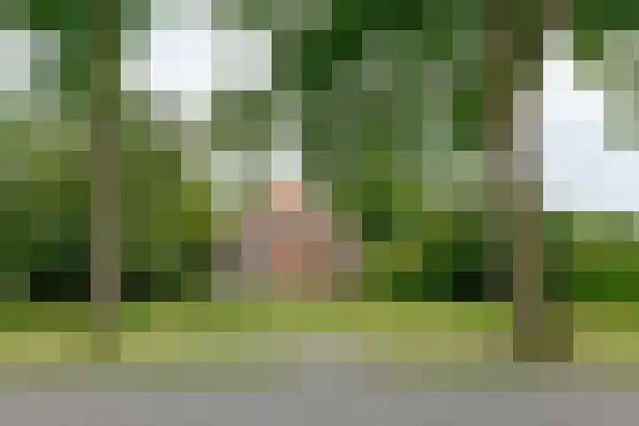 Zuiderdiep 8 Drouwenermond thumbnail 92
