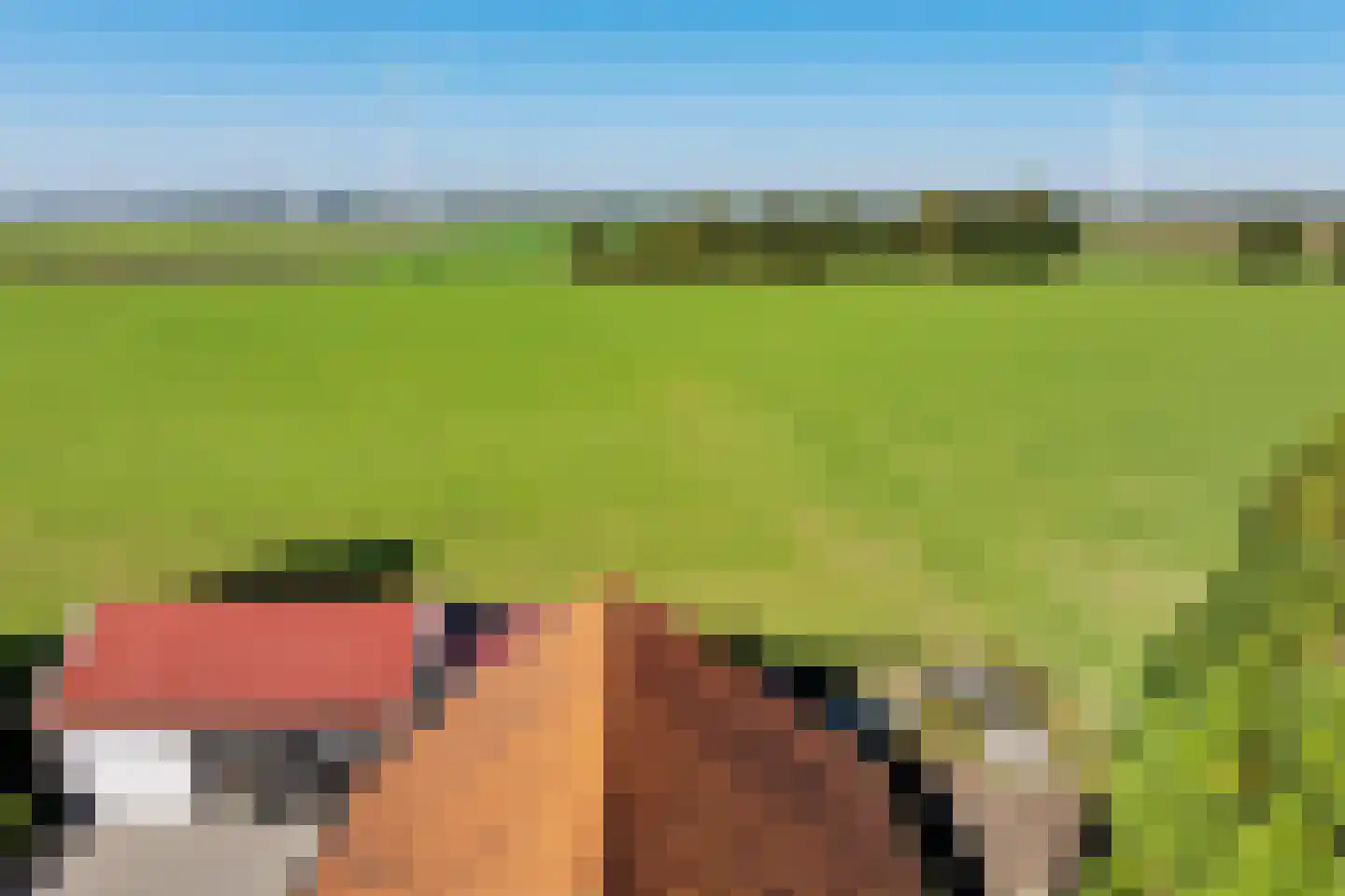 Zuiderdiep 87 Drouwenermond thumbnail 11