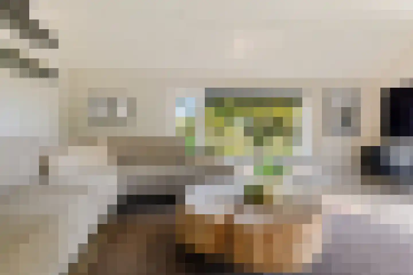 Zuiderdiep 87 Drouwenermond thumbnail 21