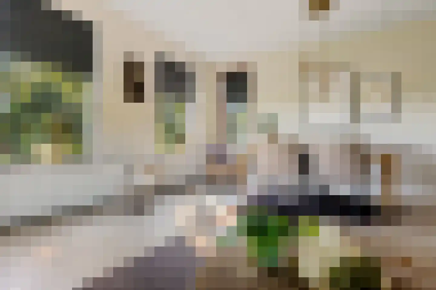 Zuiderdiep 87 Drouwenermond thumbnail 22