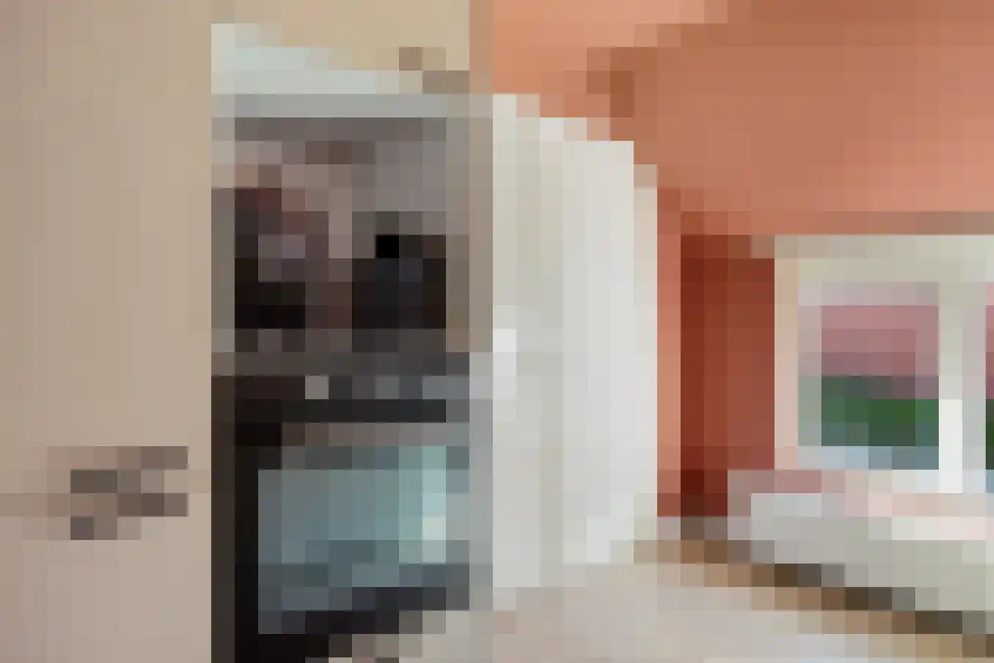 Zuiderdiep 87 Drouwenermond thumbnail 29
