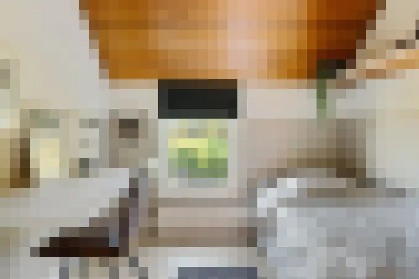 Zuiderdiep 87 Drouwenermond thumbnail 32