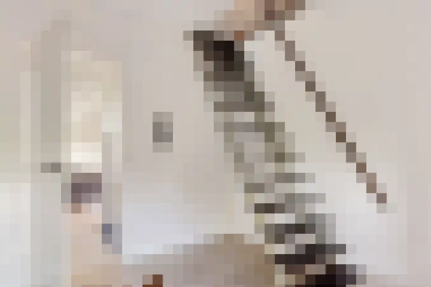 Zuiderdiep 87 Drouwenermond thumbnail 38