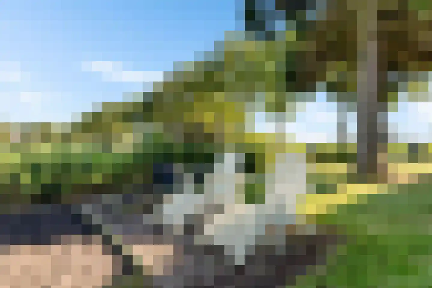 Zuiderdiep 87 Drouwenermond thumbnail 50