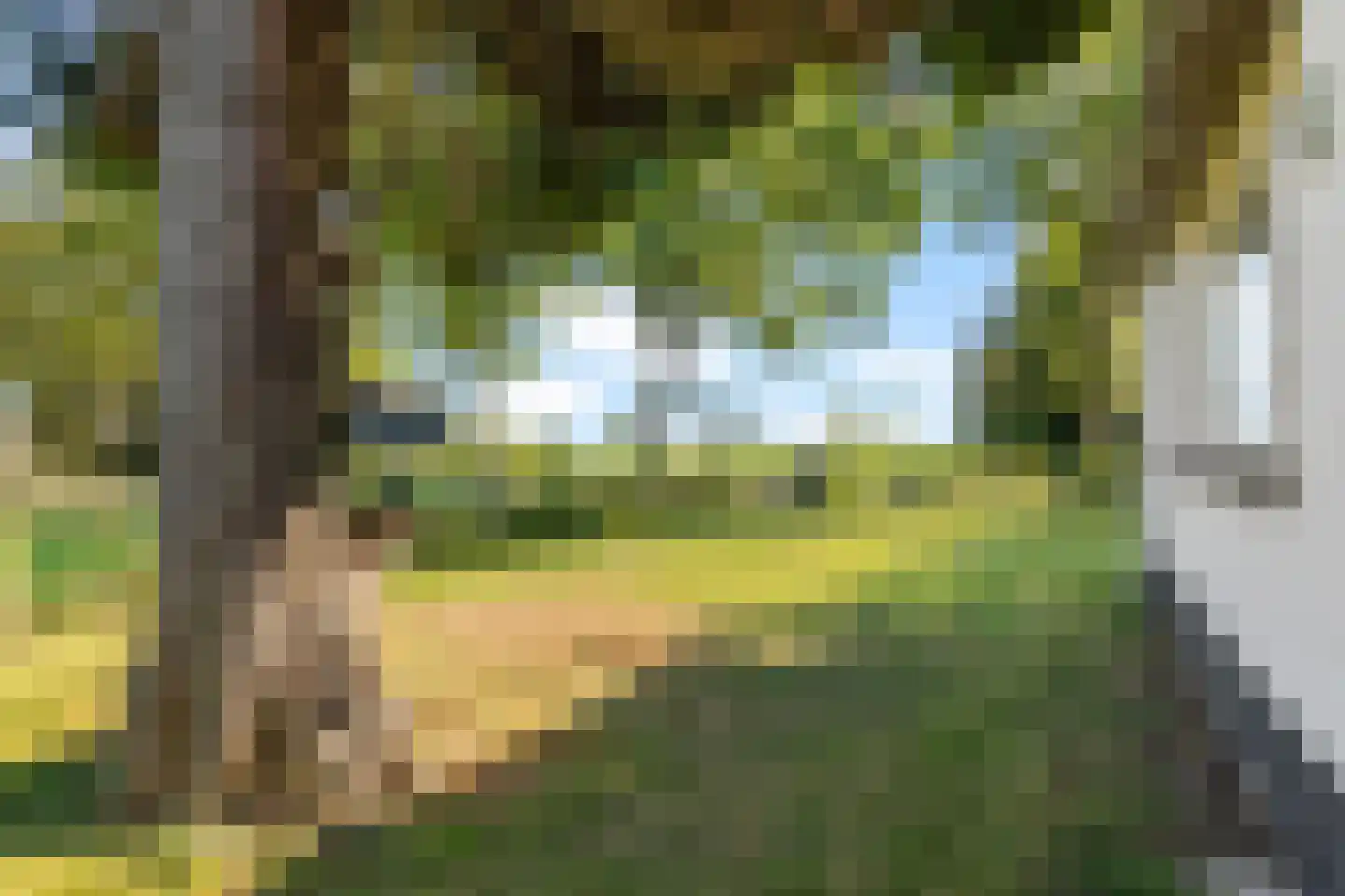 Zuiderdiep 87 Drouwenermond thumbnail 51