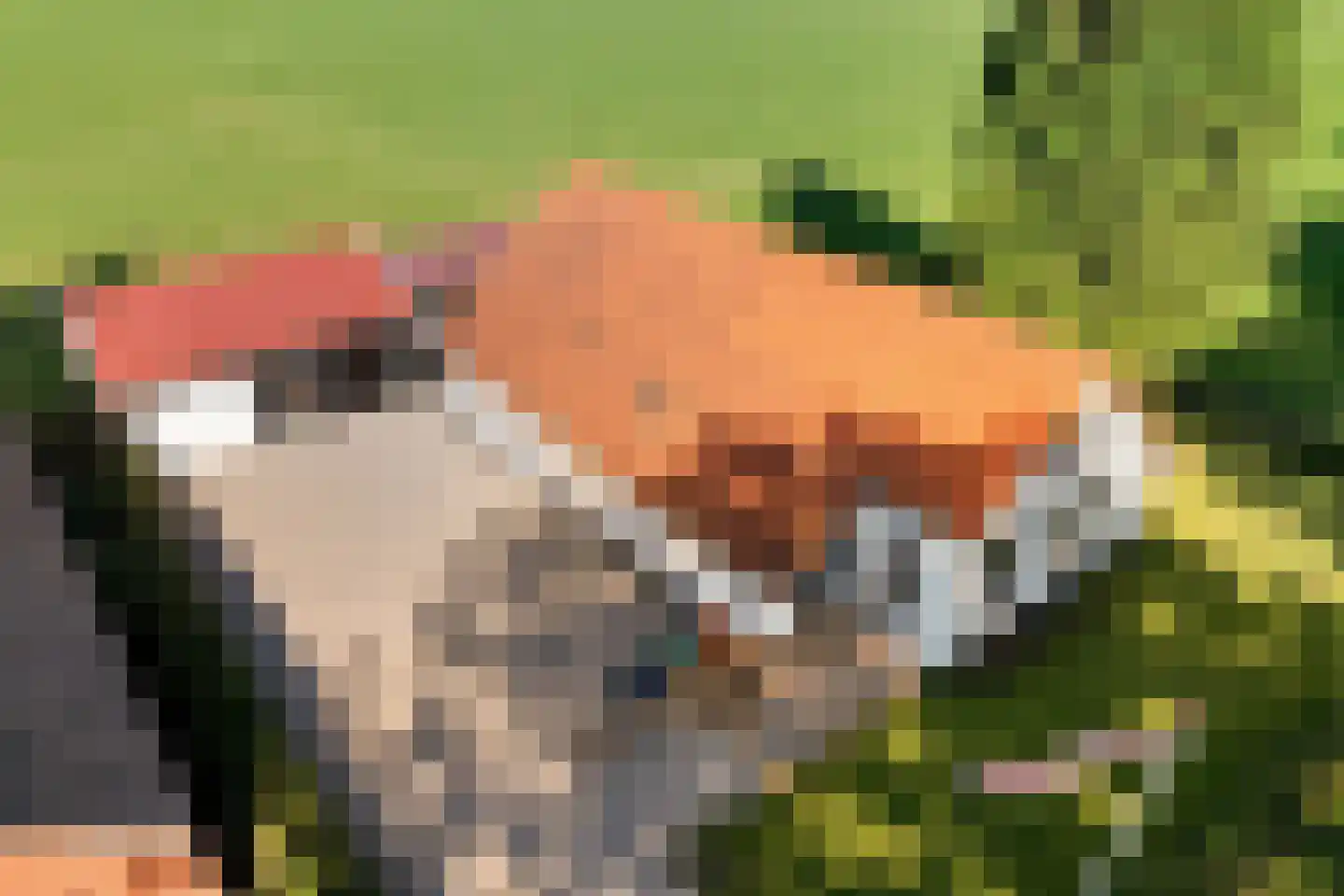 Zuiderdiep 87 Drouwenermond thumbnail 6