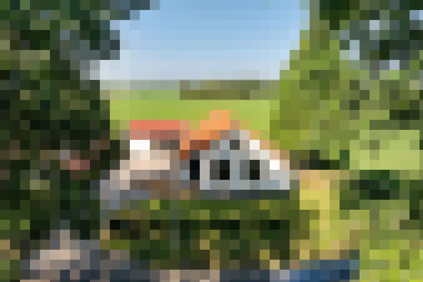 Zuiderdiep 87 Drouwenermond thumbnail 7
