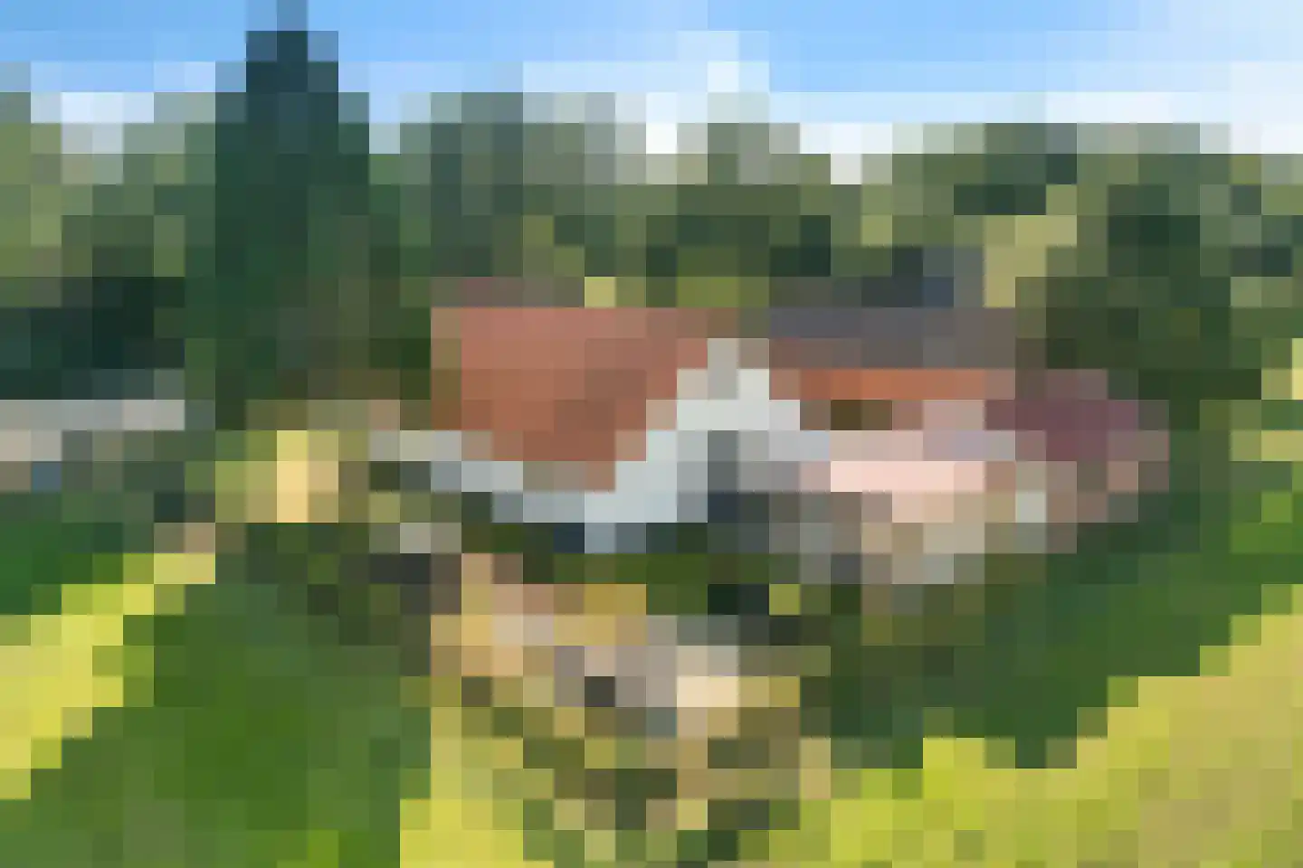 Zuiderdiep 87 Drouwenermond thumbnail 8