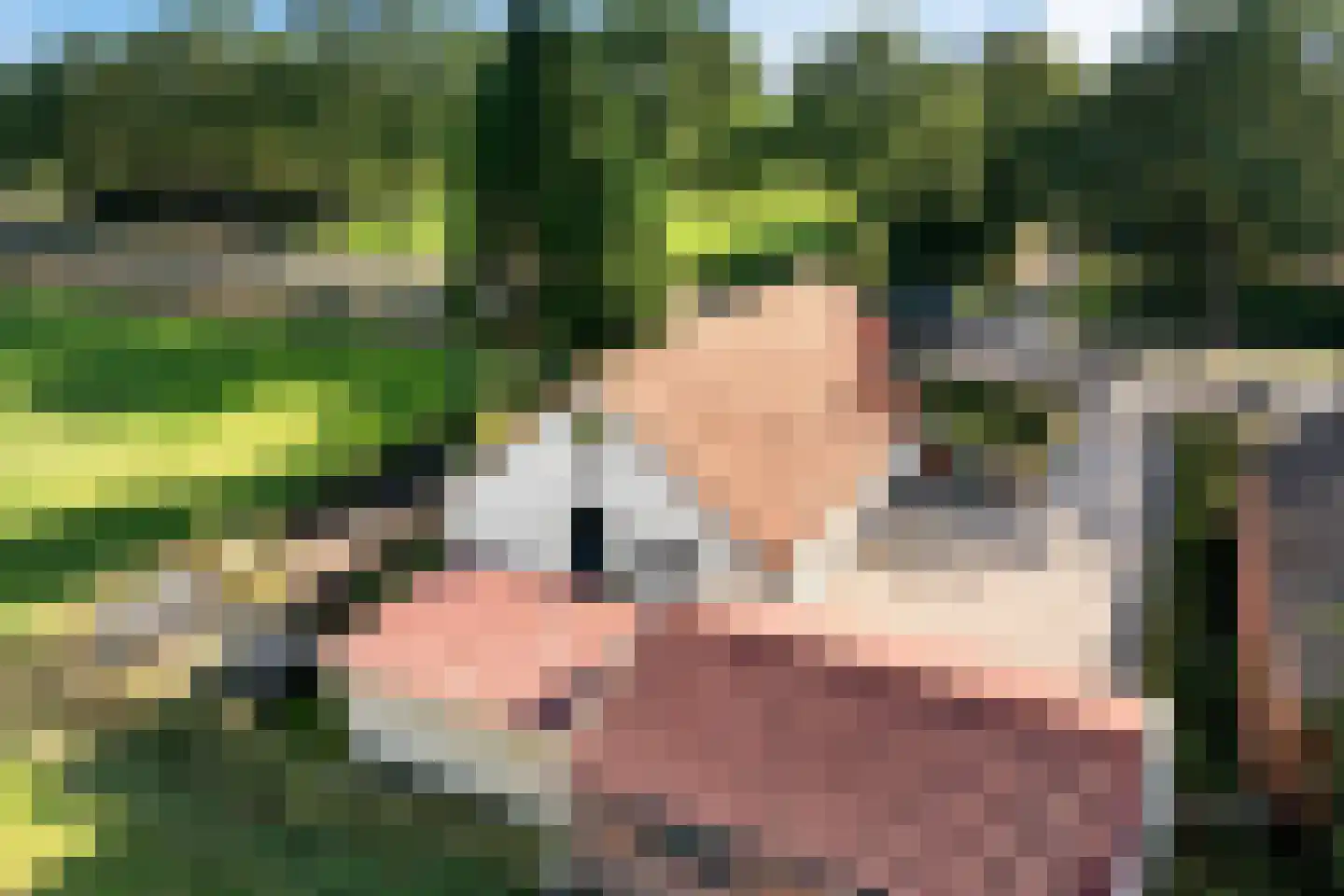 Zuiderdiep 87 Drouwenermond thumbnail 9