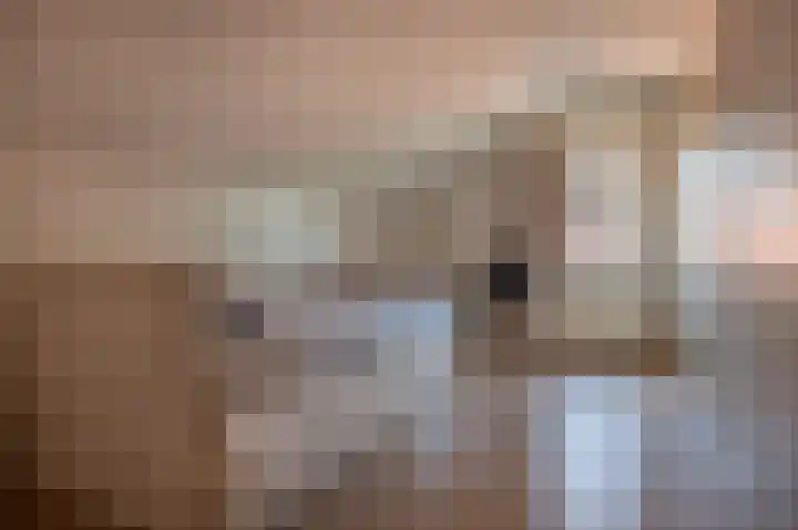 Zuiderdiep 93 Nieuw-Buinen thumbnail 22