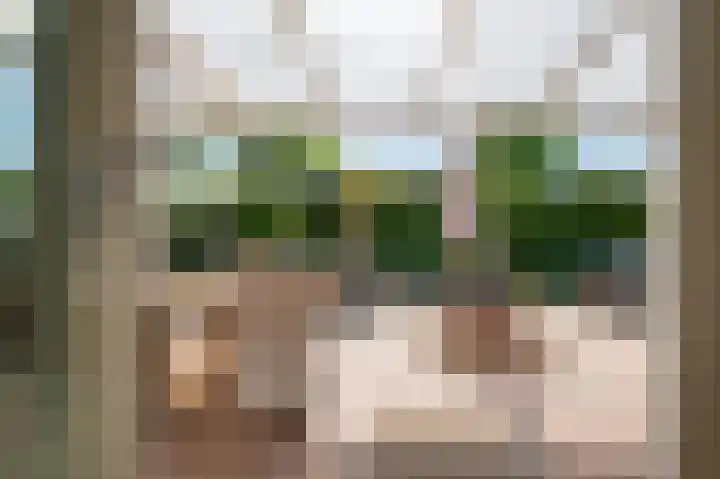 Zuiderdiep 93 Nieuw-Buinen thumbnail 27