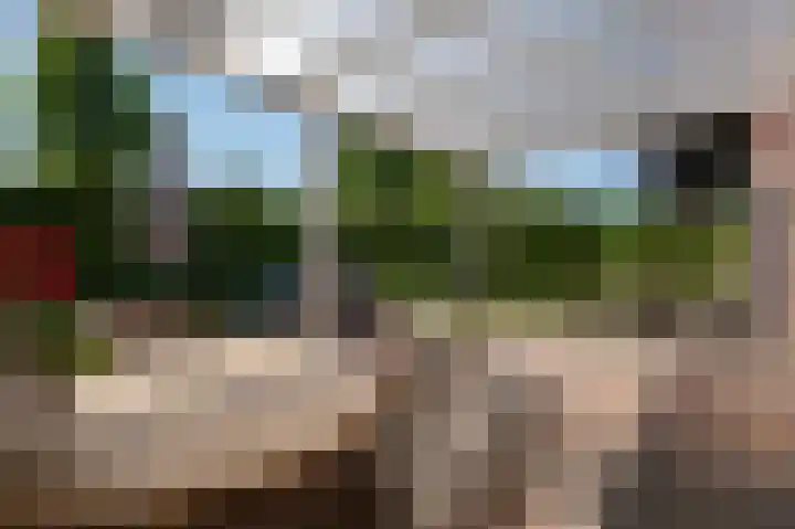 Zuiderdiep 93 Nieuw-Buinen thumbnail 28