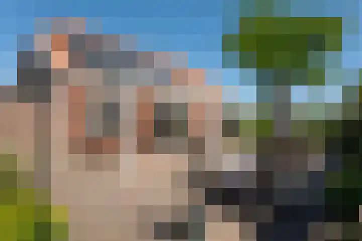 Zuiderdiep 93 Nieuw-Buinen thumbnail 29