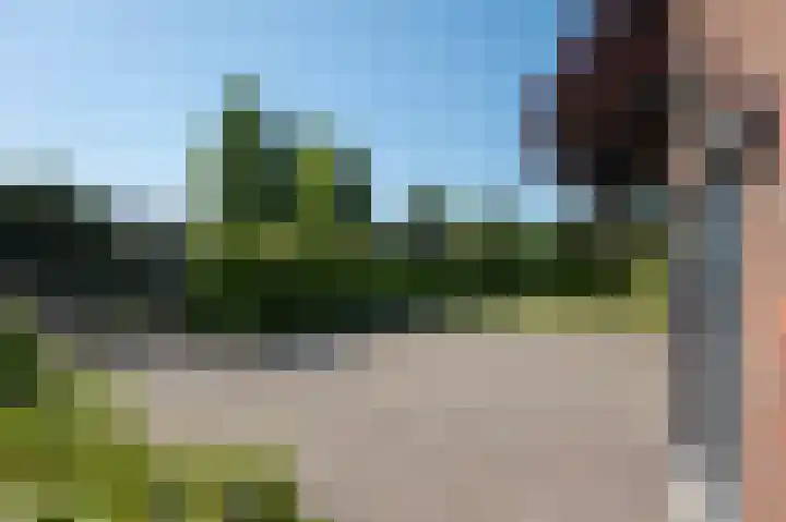 Zuiderdiep 93 Nieuw-Buinen thumbnail 30