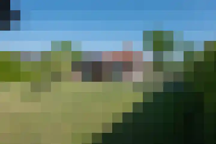 Zuiderdiep 93 Nieuw-Buinen thumbnail 33