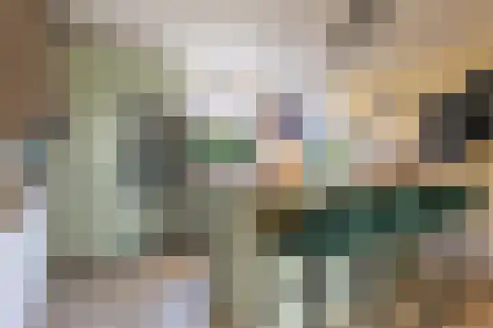 Zuiderdiep 93 Nieuw-Buinen thumbnail 4