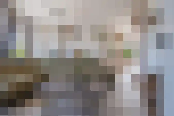 Zuiderdiep 93 Nieuw-Buinen thumbnail 6