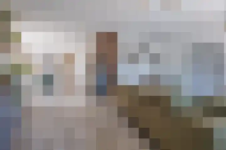 Zuiderdiep 93 Nieuw-Buinen thumbnail 8
