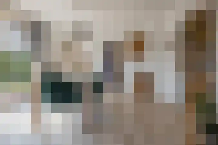 Zuiderdiep 93 Nieuw-Buinen thumbnail 9