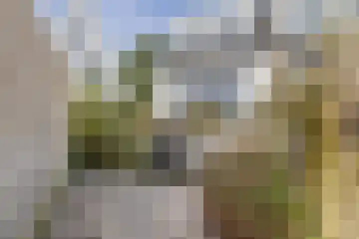 Zuiderdiepstraatweg 2 f Stellendam thumbnail 29