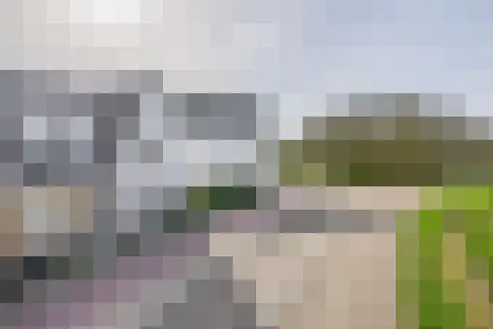 Zuiderdiepstraatweg 2 f Stellendam thumbnail 6