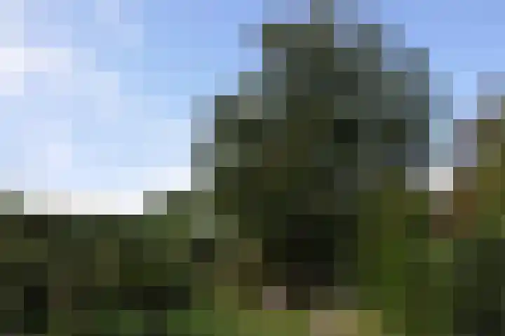 Zuiderdijk 19 Venhuizen thumbnail 57