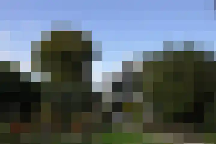 Zuiderdijk 19 Venhuizen thumbnail 60
