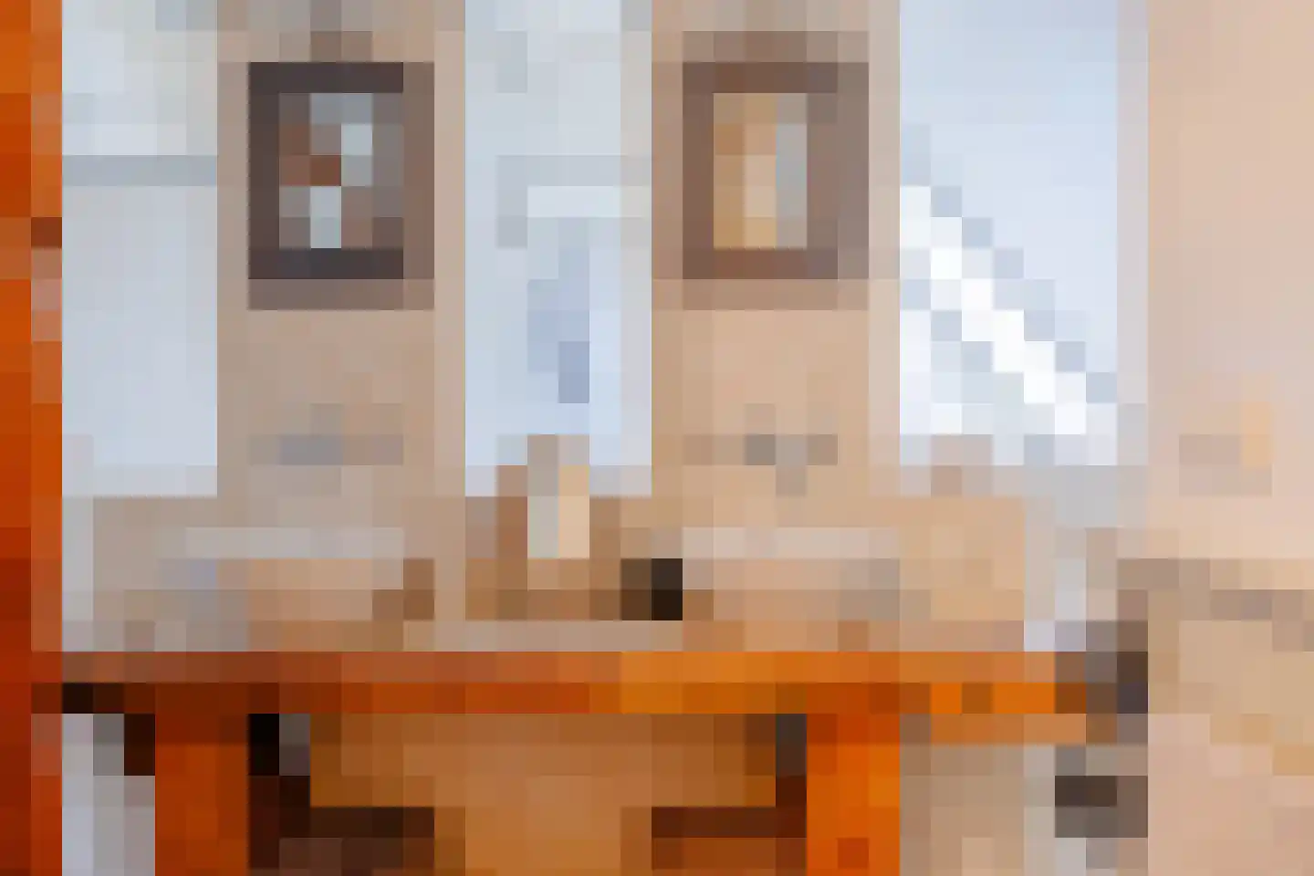 Zuiderdijk 40 Wijdenes thumbnail 33