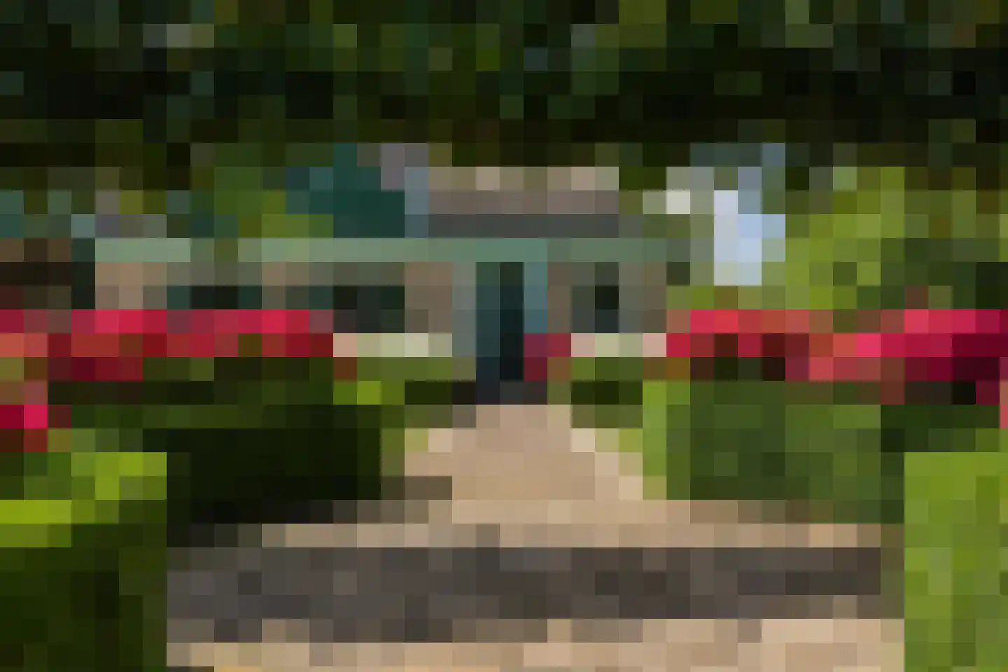 Zuiderdijk 40 Wijdenes thumbnail 35