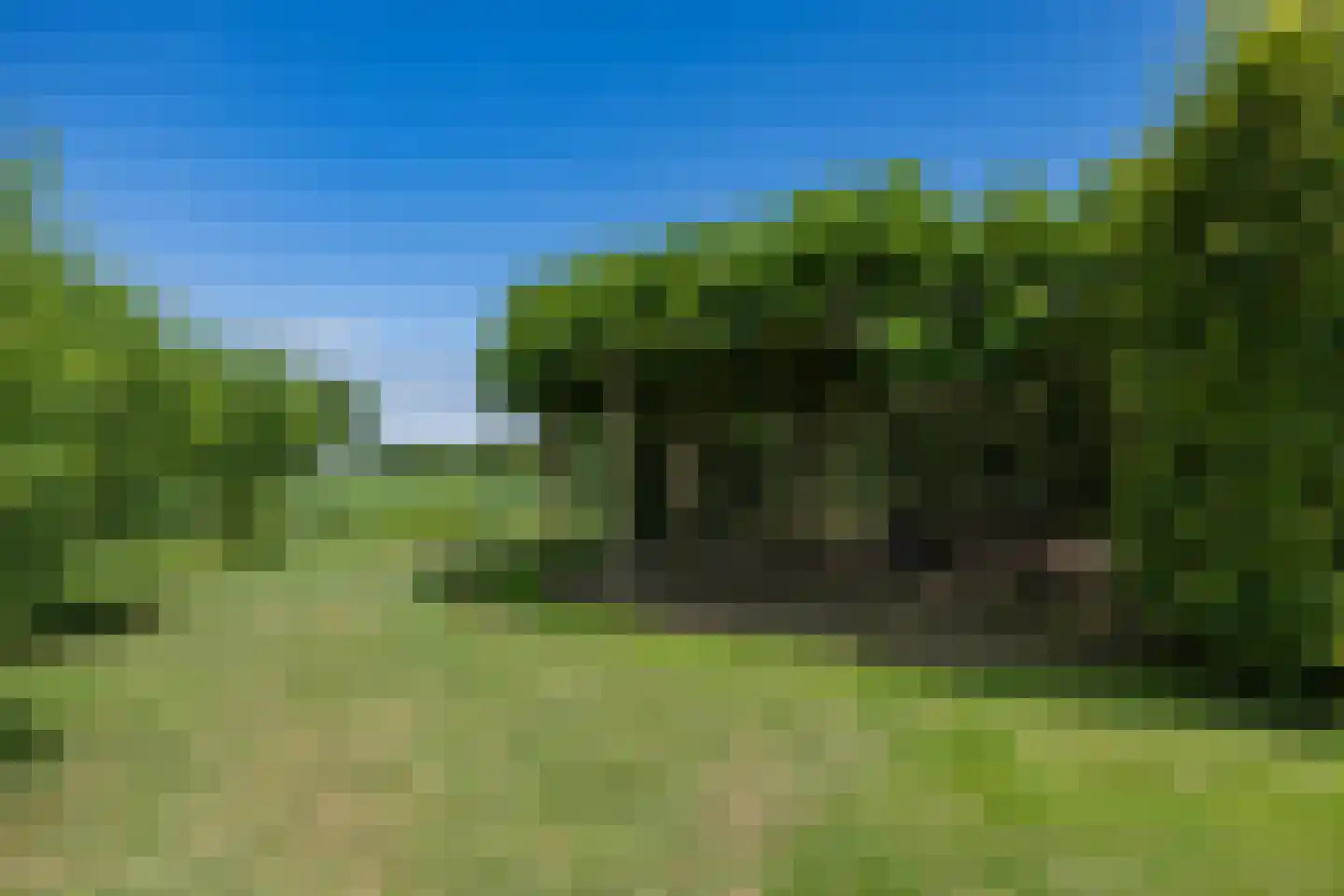 Zuiderdijk 40 Wijdenes thumbnail 39