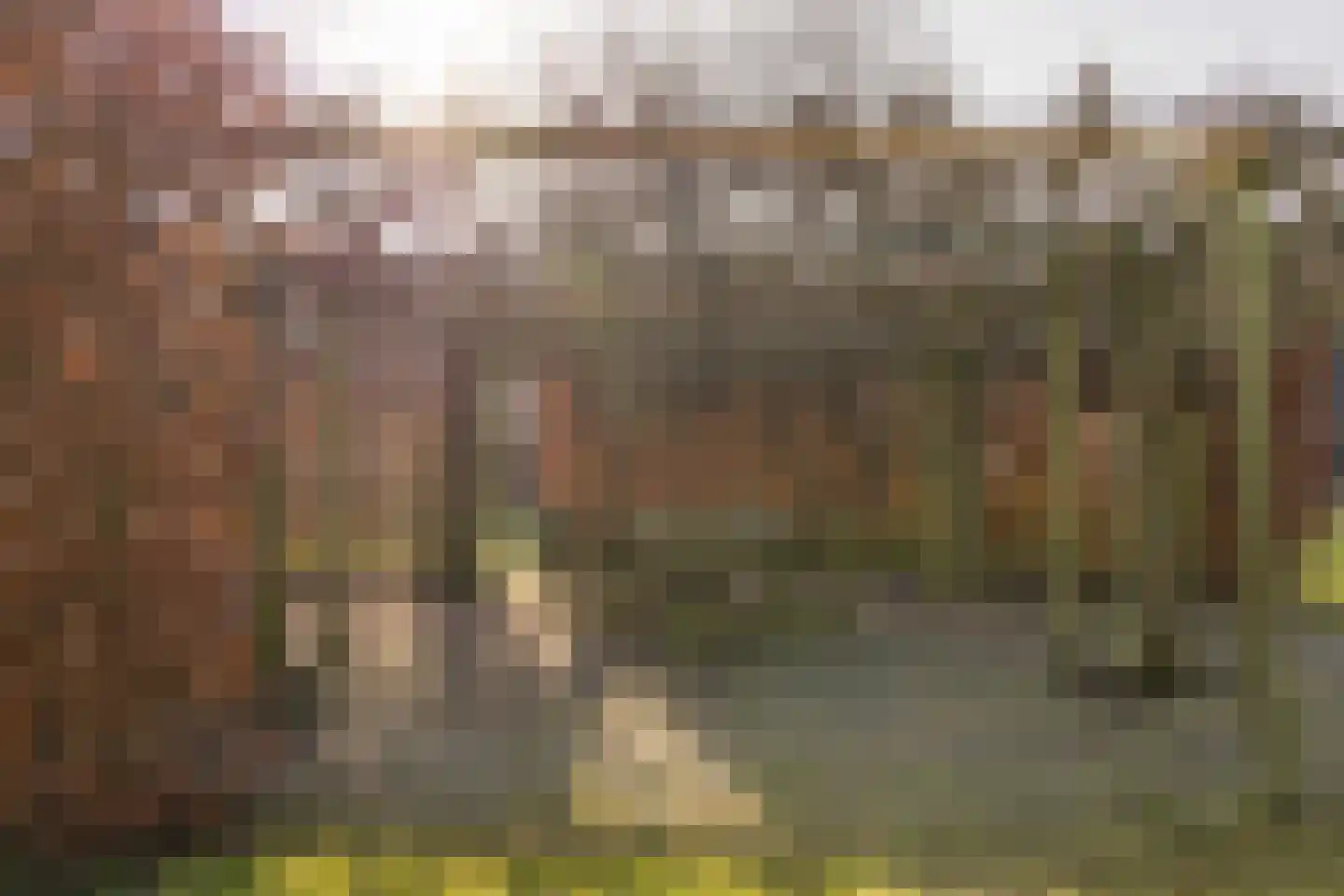 Zuiderdijk 40 Wijdenes thumbnail 43