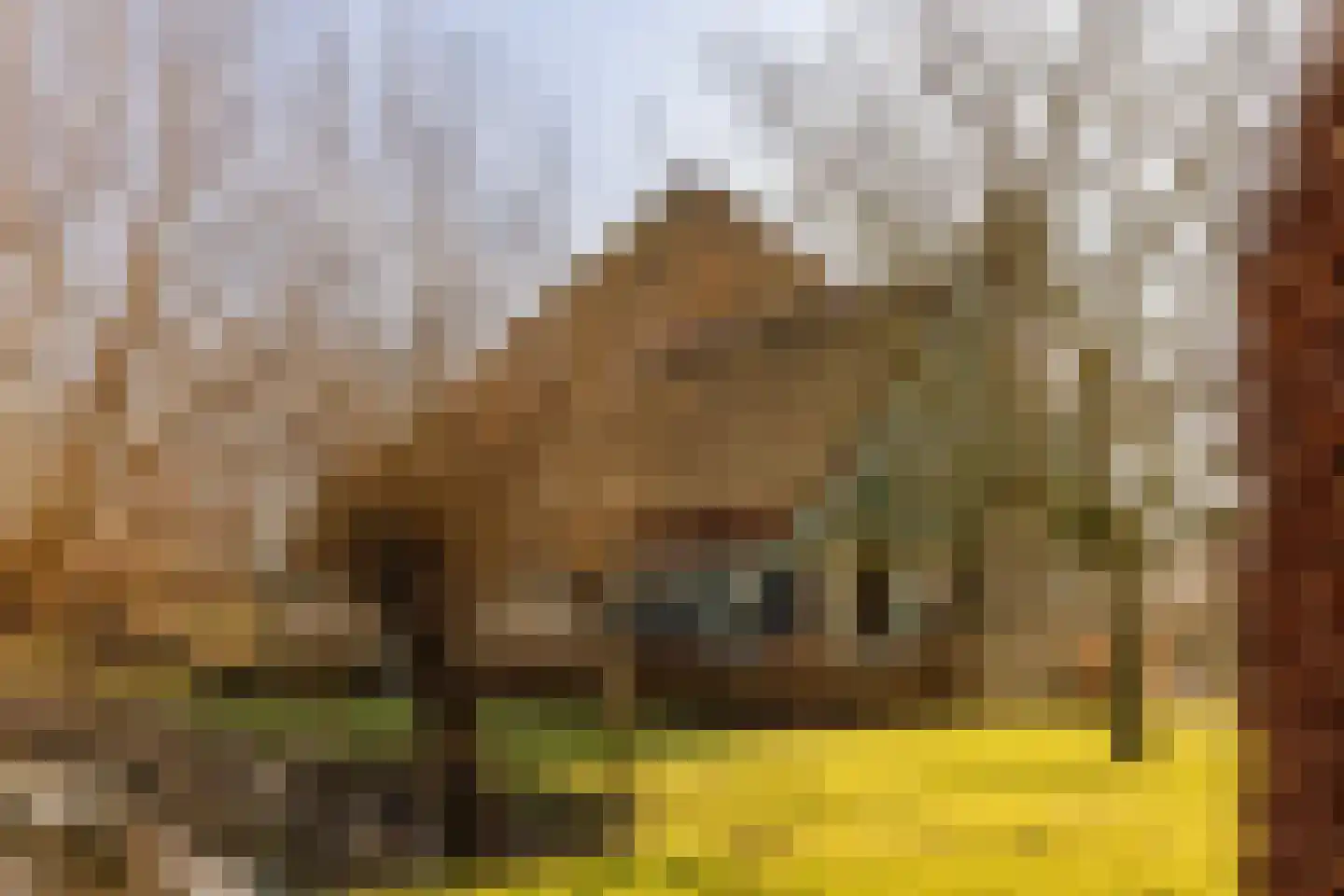 Zuiderdijk 40 Wijdenes thumbnail 44
