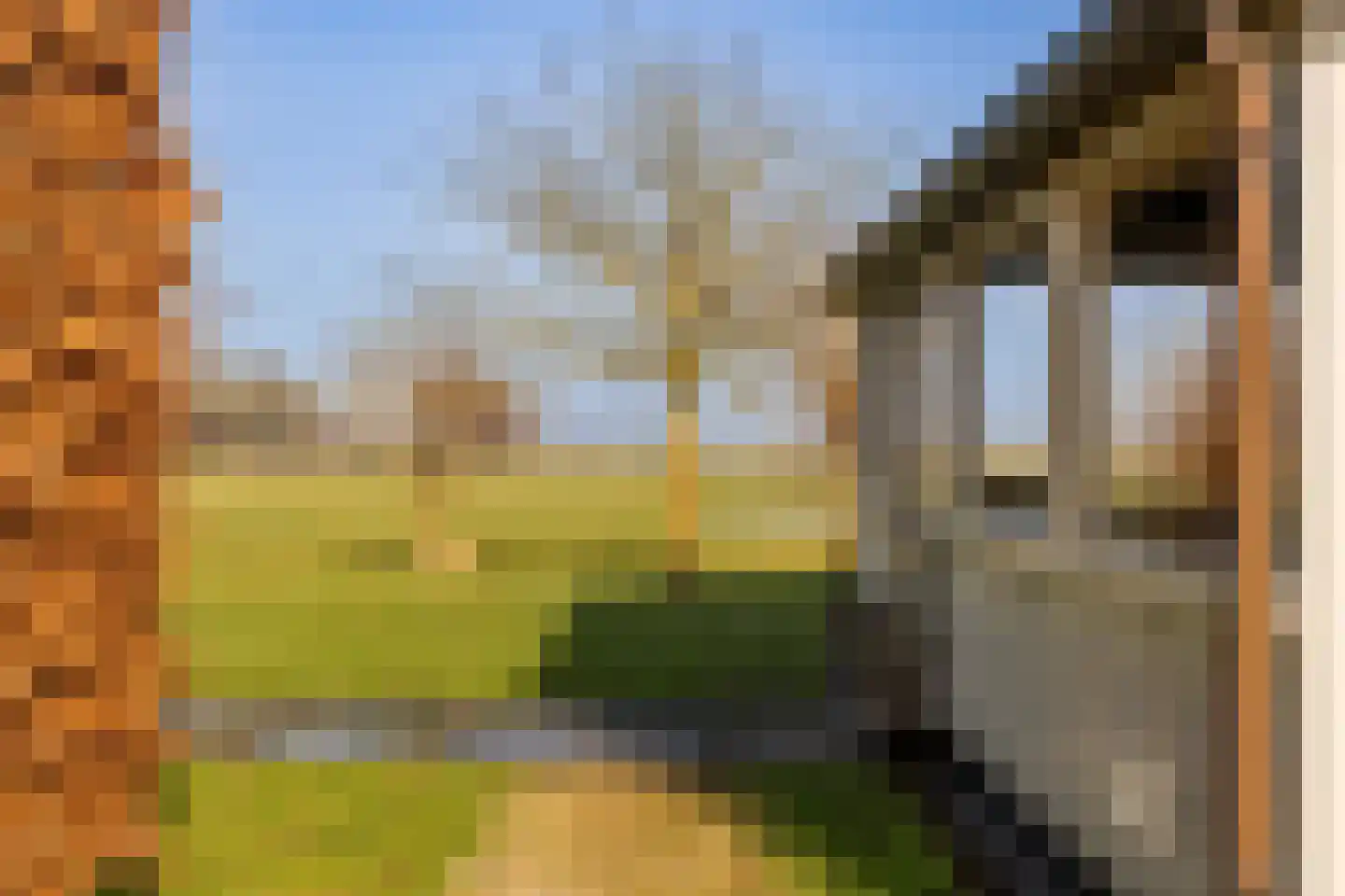 Zuiderdijk 40 Wijdenes thumbnail 49