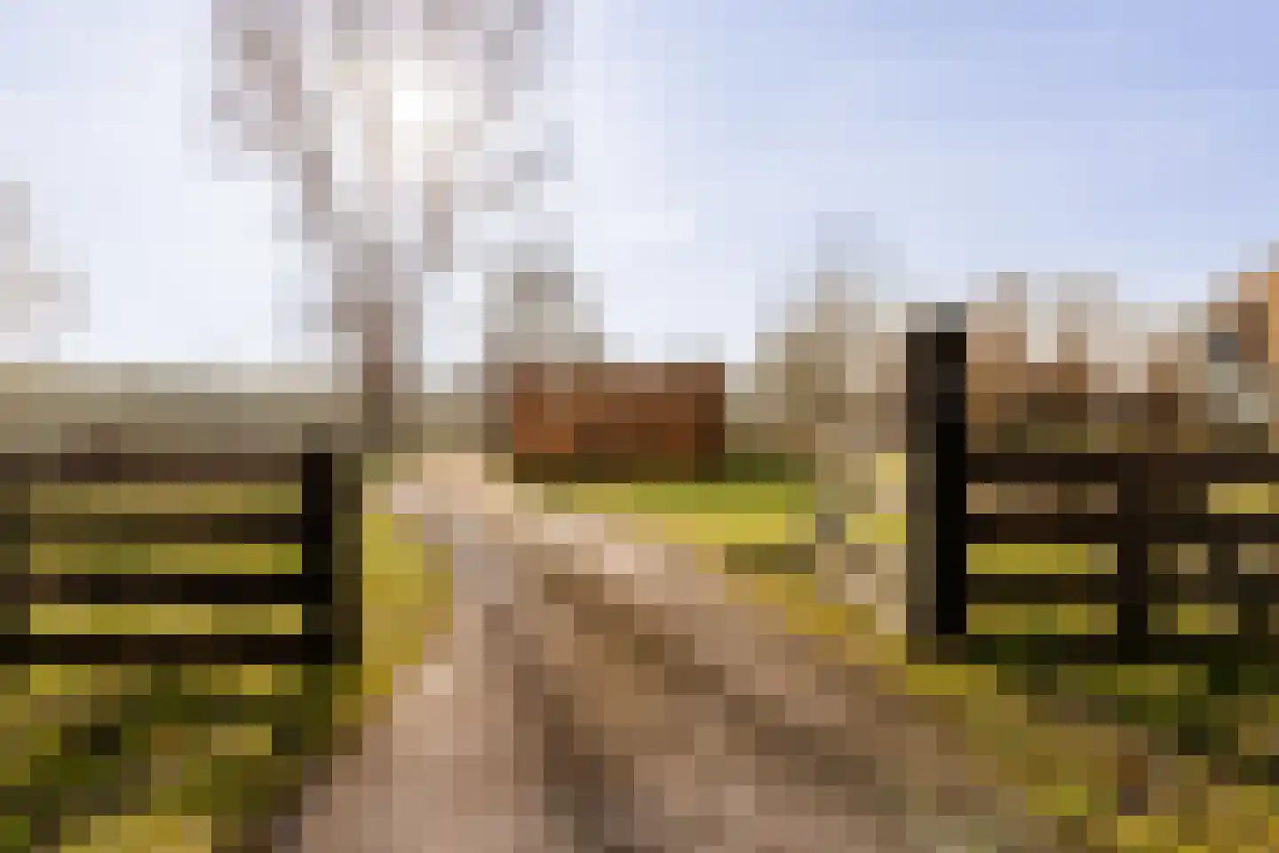 Zuiderdijk 40 Wijdenes thumbnail 64