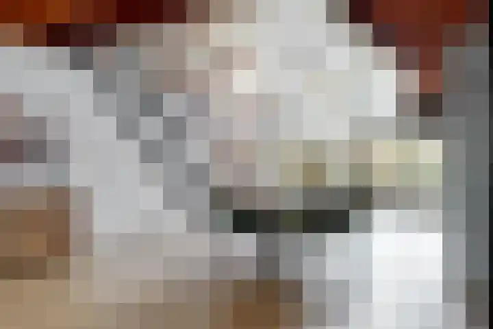 Zuiderdracht 40 Oosterblokker thumbnail 10
