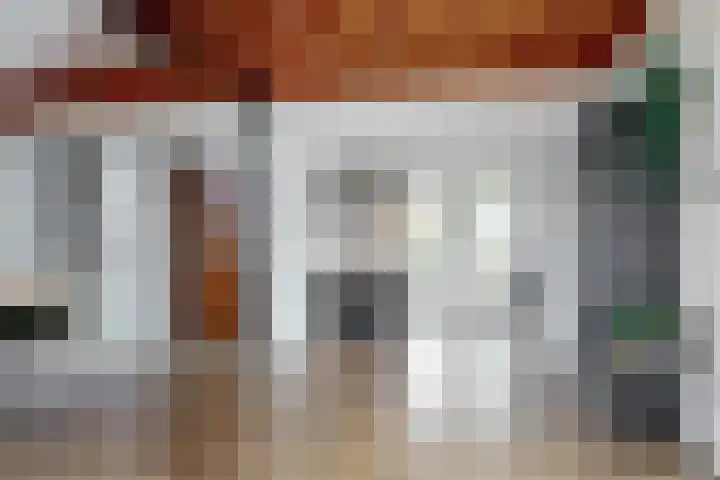 Zuiderdracht 40 Oosterblokker thumbnail 11