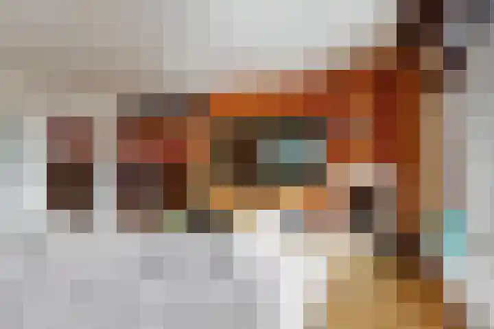 Zuiderdracht 40 Oosterblokker thumbnail 14