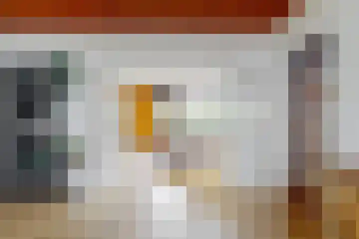 Zuiderdracht 40 Oosterblokker thumbnail 22
