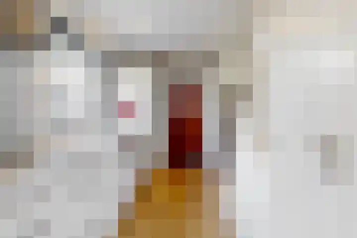 Zuiderdracht 40 Oosterblokker thumbnail 26