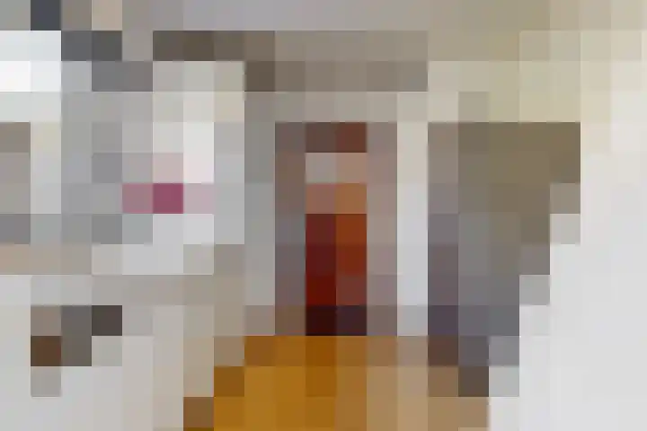Zuiderdracht 40 Oosterblokker thumbnail 27