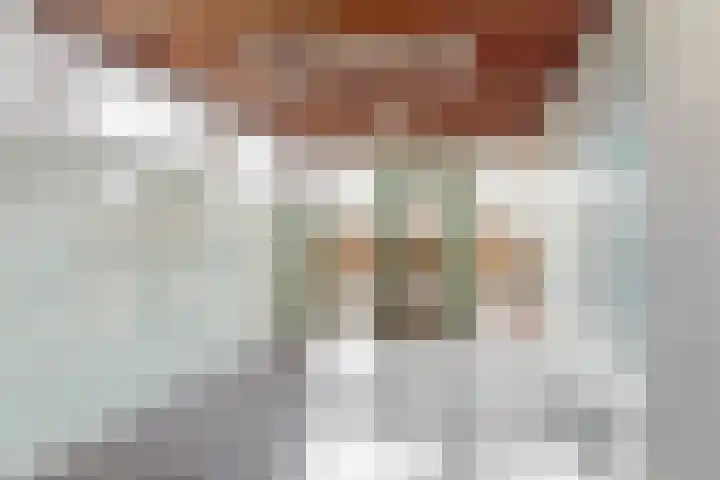 Zuiderdracht 40 Oosterblokker thumbnail 35