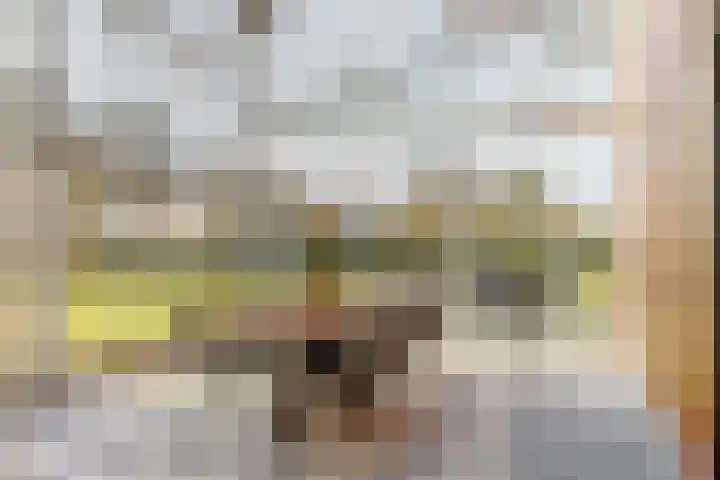 Zuiderdracht 40 Oosterblokker thumbnail 4