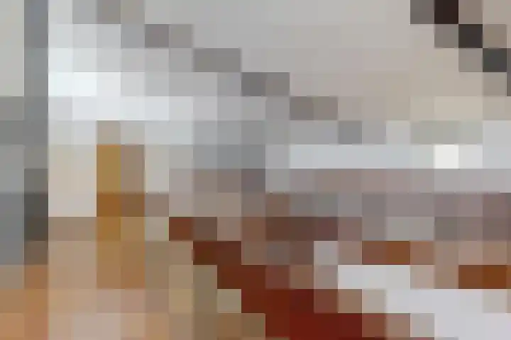Zuiderdracht 40 Oosterblokker thumbnail 40