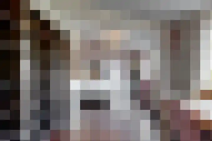Zuiderdracht 40 Oosterblokker thumbnail 43